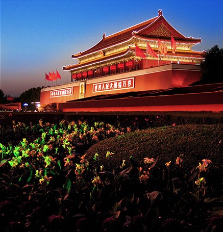 �����L���D