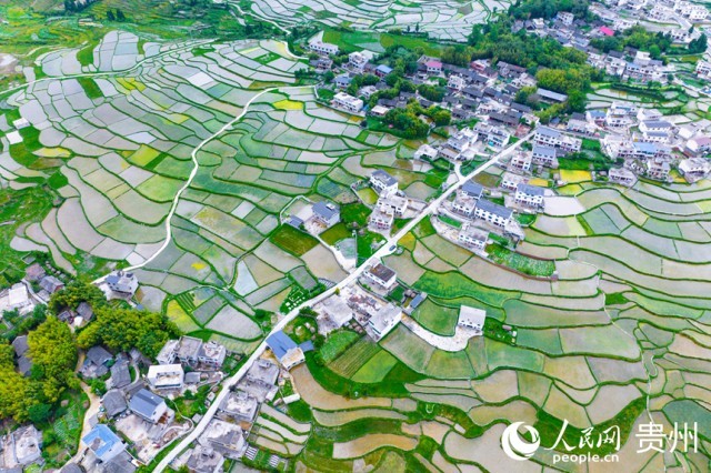 �����F��л�Ϫ�^(q��)��������������W(w��ng)ӛ�� Ϳ���z