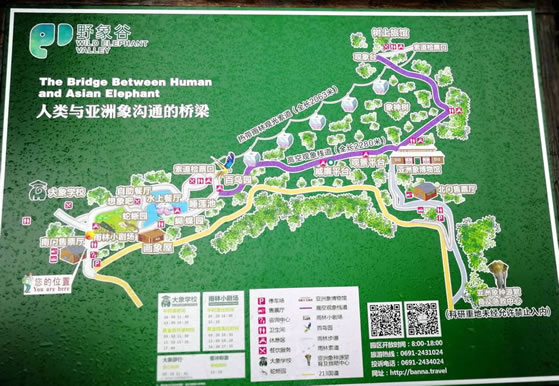 Ұ��Ȍ�(d��o)�[�D